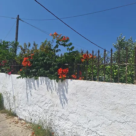 Ioanna's House 펜션